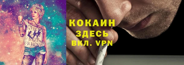 стаф Новодвинск