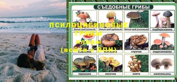метадон Гвардейск