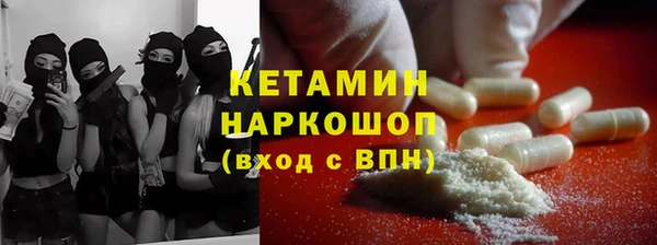крисы Новозыбков