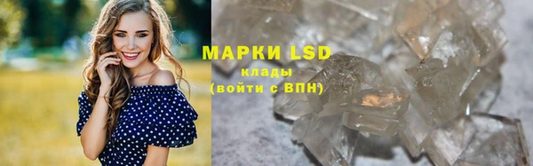 крисы Новозыбков