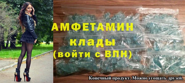 крисы Новозыбков