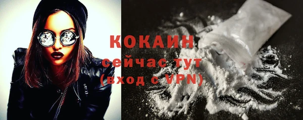 МДПВ Няндома