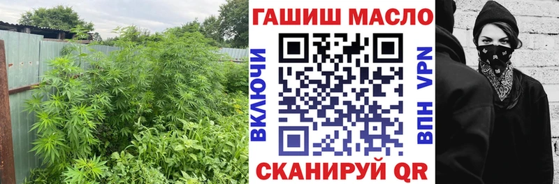 ТГК гашишное масло  купить закладку  Сертолово 