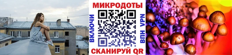 Псилоцибиновые грибы Psilocybe  купить наркотик  blacksprut рабочий сайт  Сертолово 