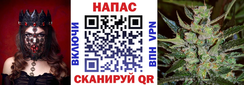 Конопля индика что такое наркотик Сертолово